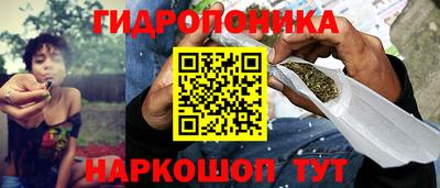 jwh Краснодар