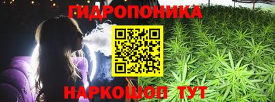 jwh Краснодар