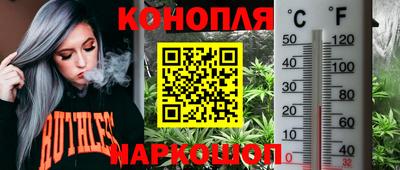 jwh Краснодар